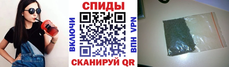 Бутират буратино Кашин
