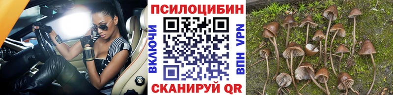 Галлюциногенные грибы Cubensis Кашин
